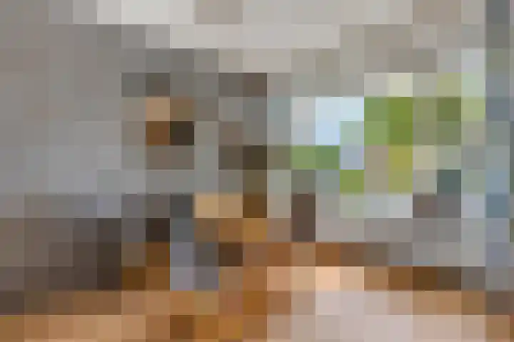 Petuniastraat 6 Rhenen thumbnail 14