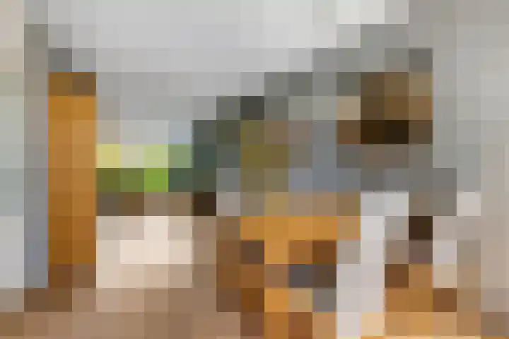 Petuniastraat 6 Rhenen thumbnail 15