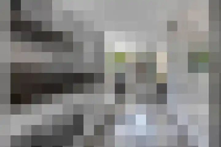 Petuniastraat 6 Rhenen thumbnail 16