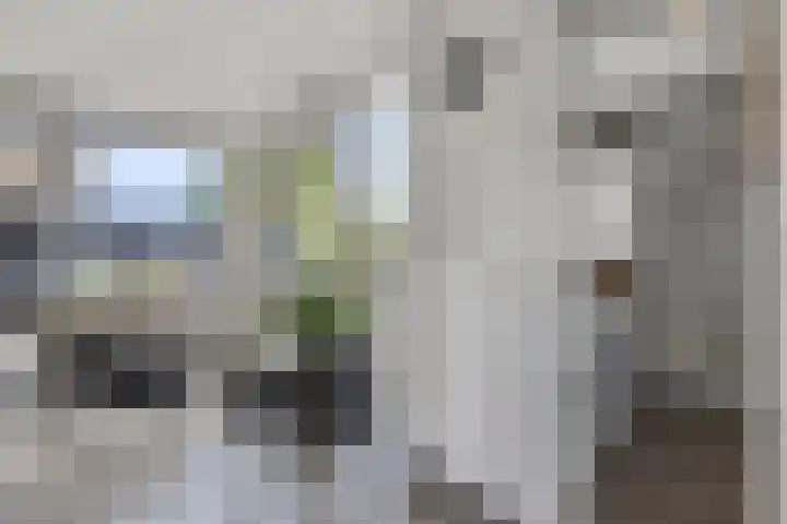 Petuniastraat 6 Rhenen thumbnail 18