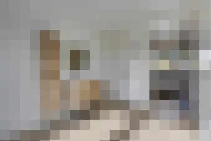 Petuniastraat 6 Rhenen thumbnail 21