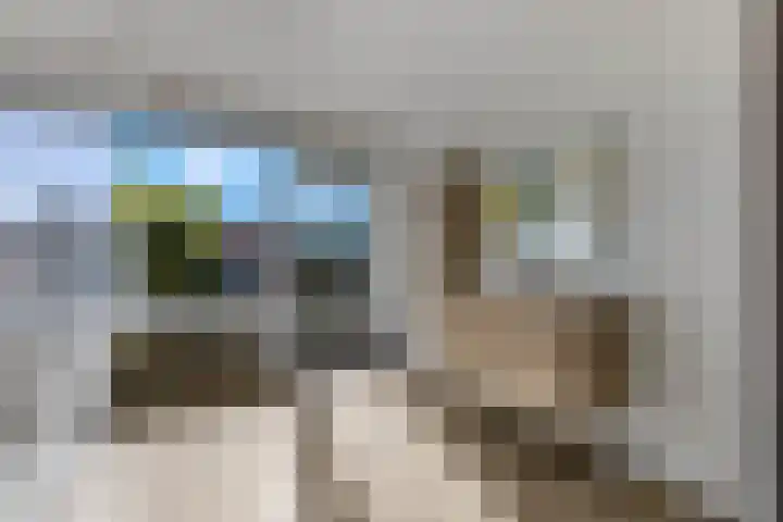 Petuniastraat 6 Rhenen thumbnail 23