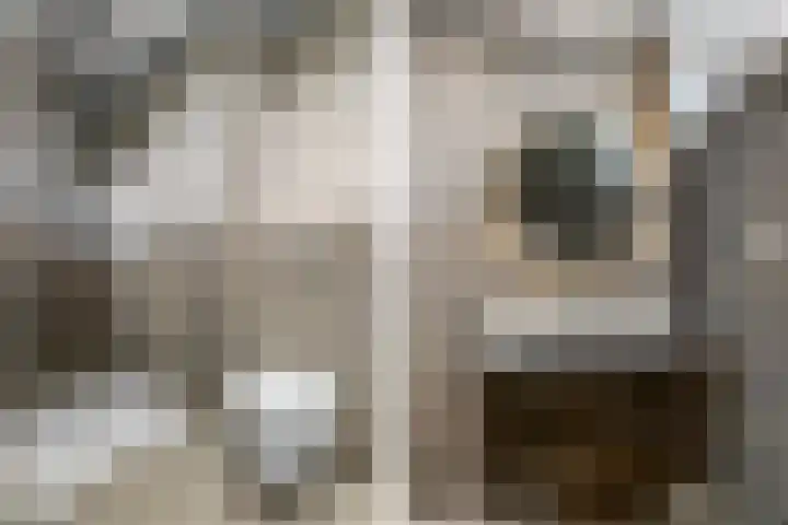 Petuniastraat 6 Rhenen thumbnail 25