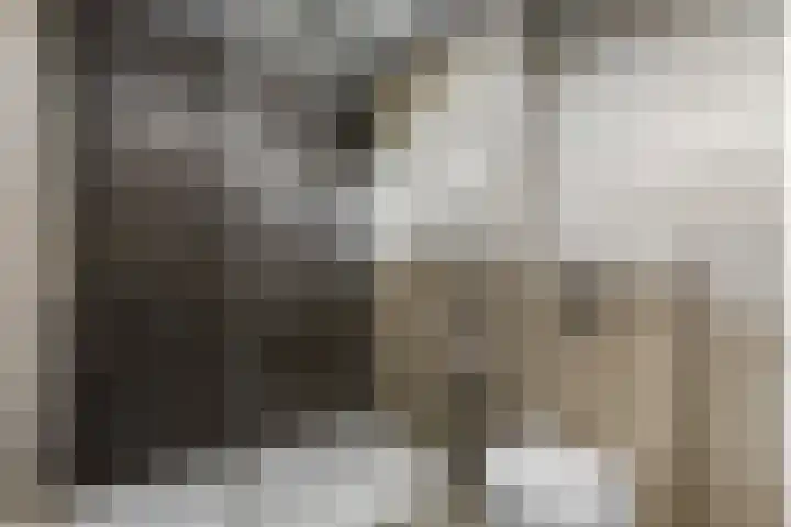 Petuniastraat 6 Rhenen thumbnail 26