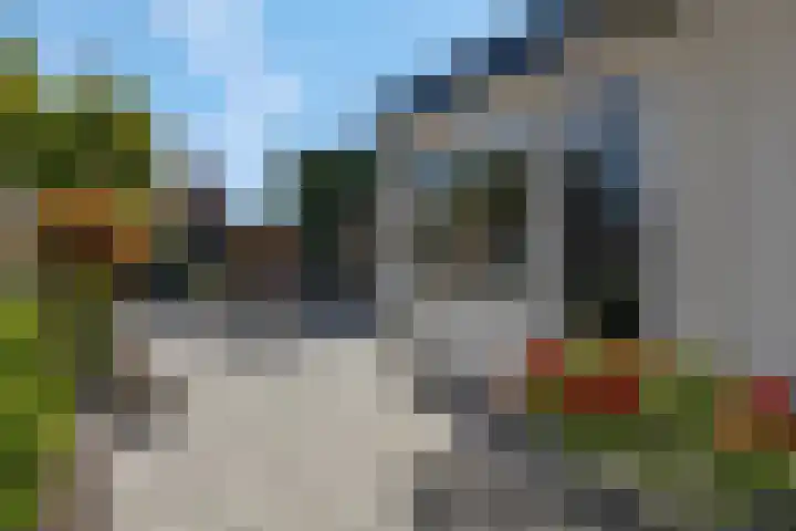 Petuniastraat 6 Rhenen thumbnail 29