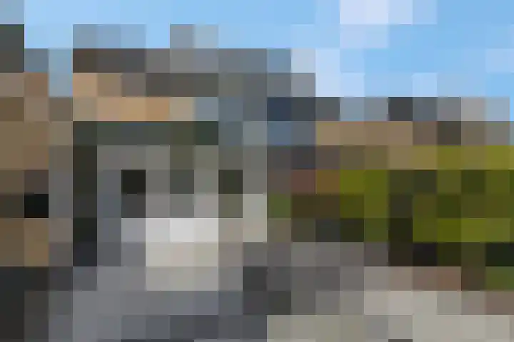 Petuniastraat 6 Rhenen thumbnail 30
