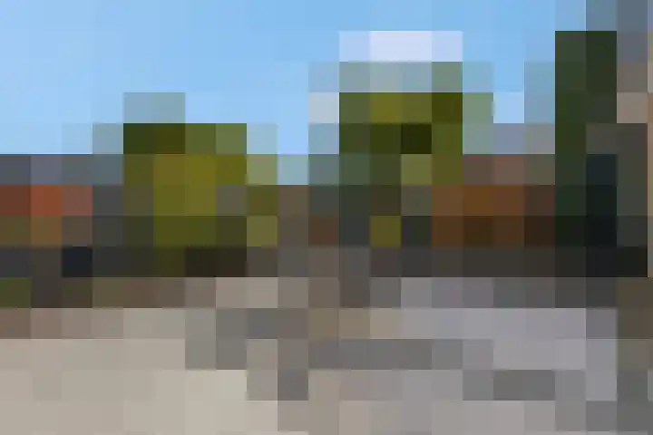 Petuniastraat 6 Rhenen thumbnail 32