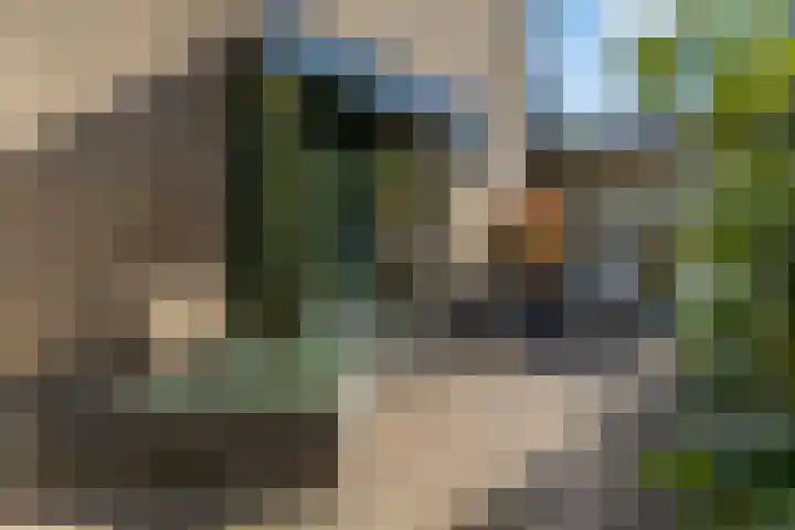 Petuniastraat 6 Rhenen thumbnail 33