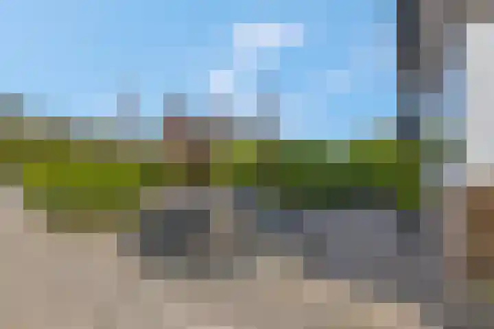Petuniastraat 6 Rhenen thumbnail 34