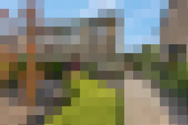 Petuniastraat 6 Rhenen thumbnail 35