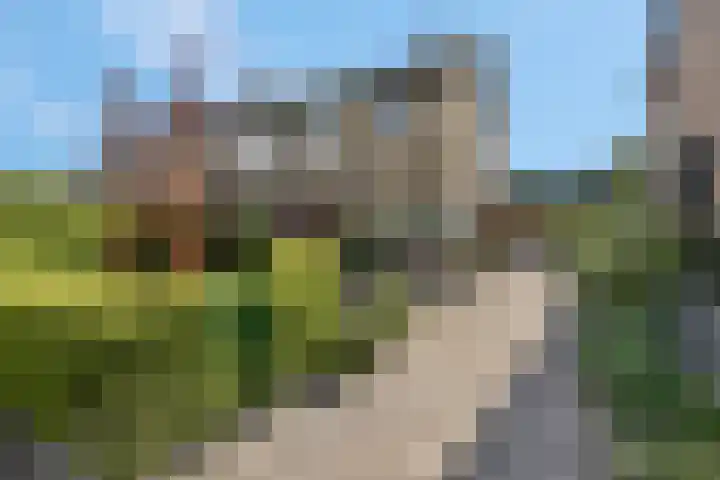 Petuniastraat 6 Rhenen thumbnail 36
