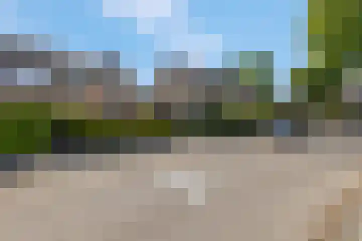 Petuniastraat 6 Rhenen thumbnail 38