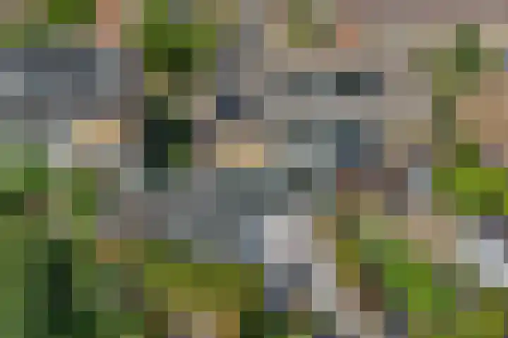 Petuniastraat 6 Rhenen thumbnail 39