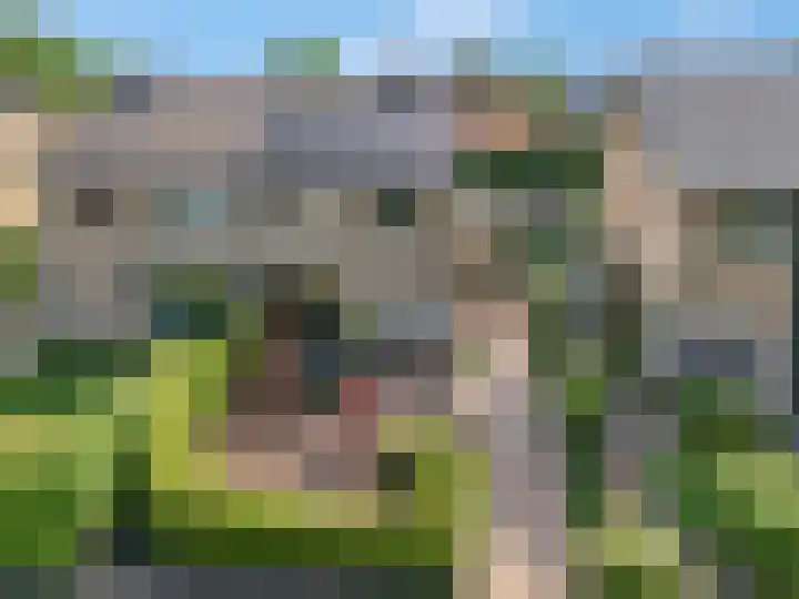 Petuniastraat 6 Rhenen thumbnail 45