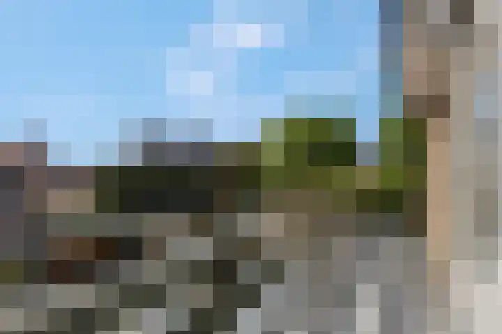 Petuniastraat 6 Rhenen thumbnail 6