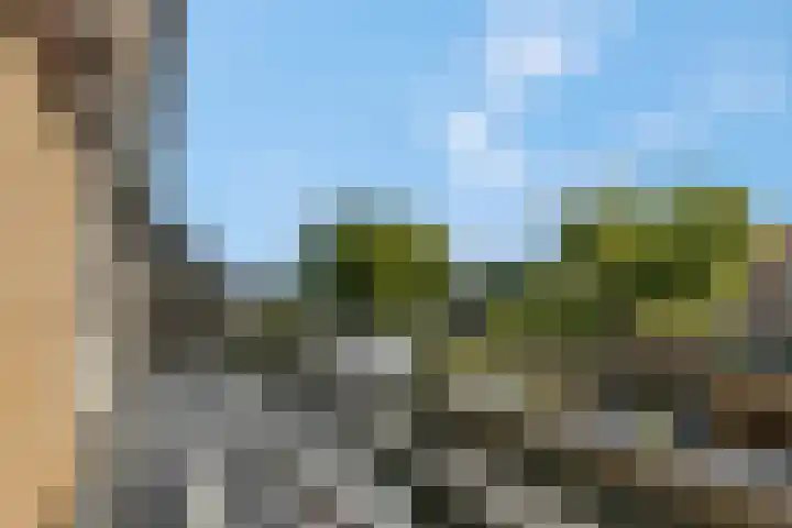 Petuniastraat 6 Rhenen thumbnail 7