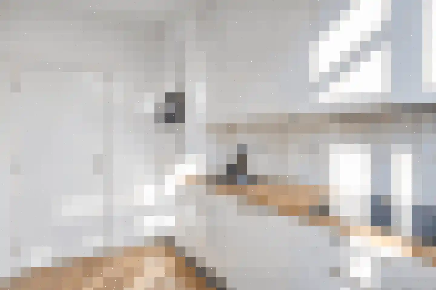 Petuniastraat 62 Lent thumbnail 12