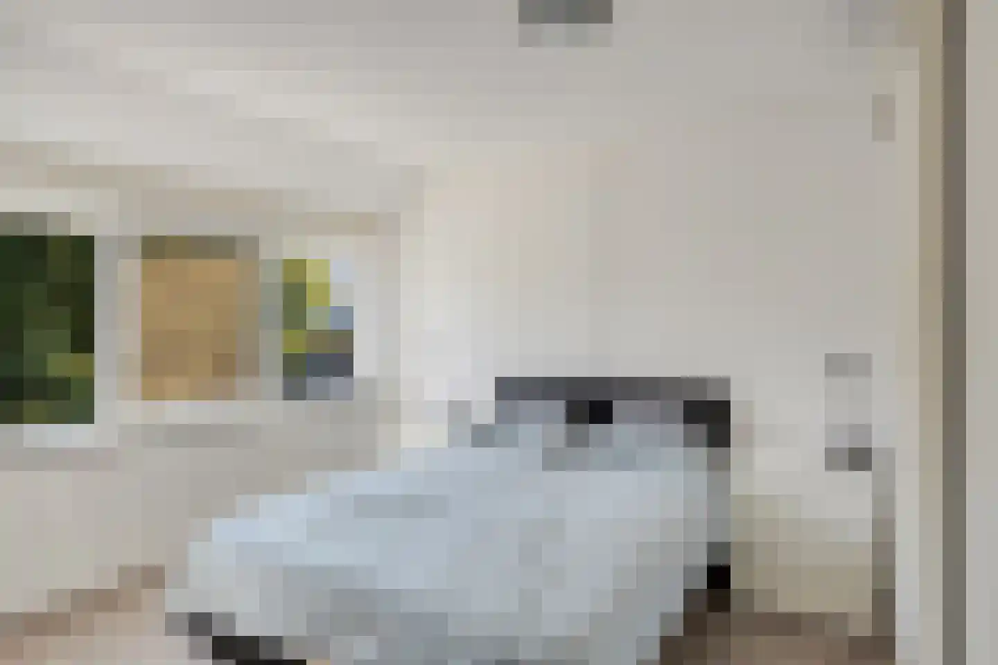 Petuniastraat 62 Lent thumbnail 15