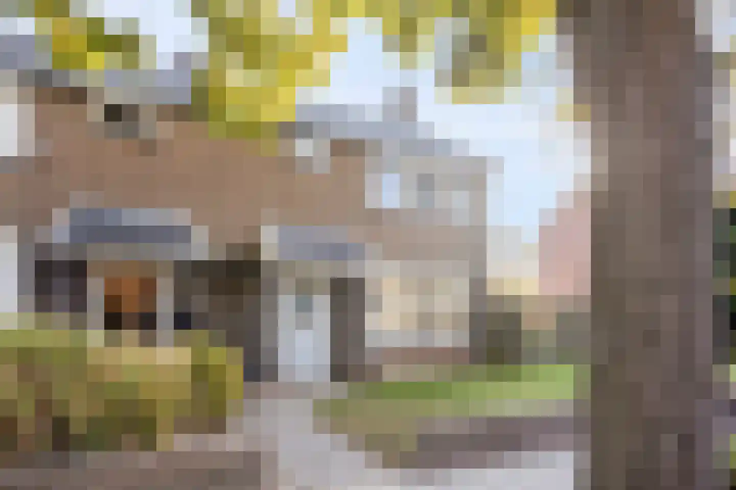 Petuniastraat 62 Lent thumbnail 32