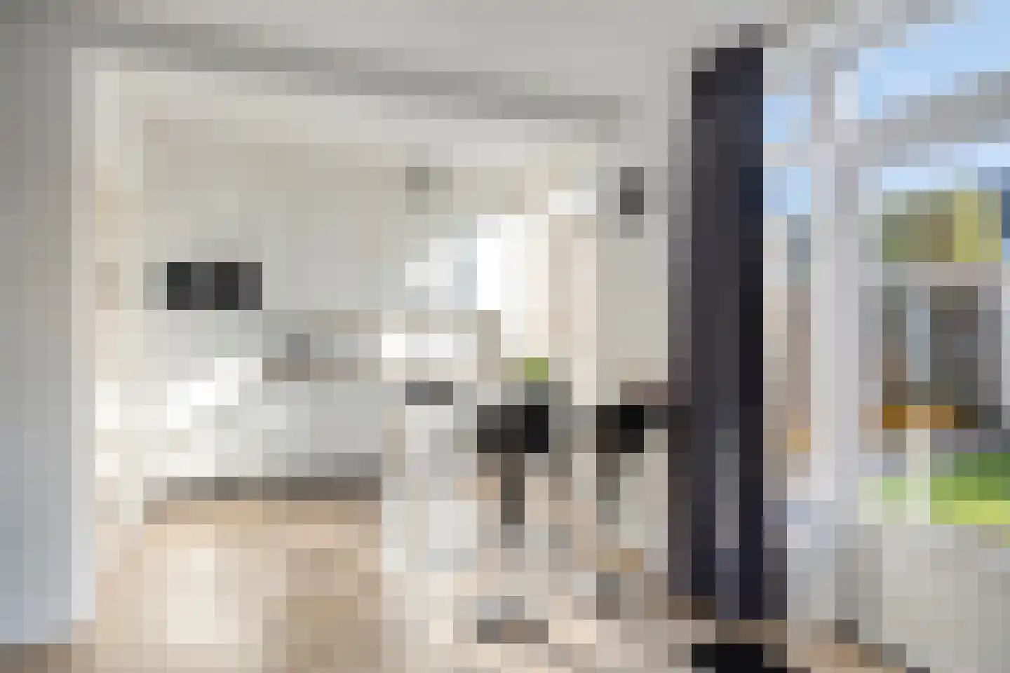 Petuniastraat 62 Lent thumbnail 4