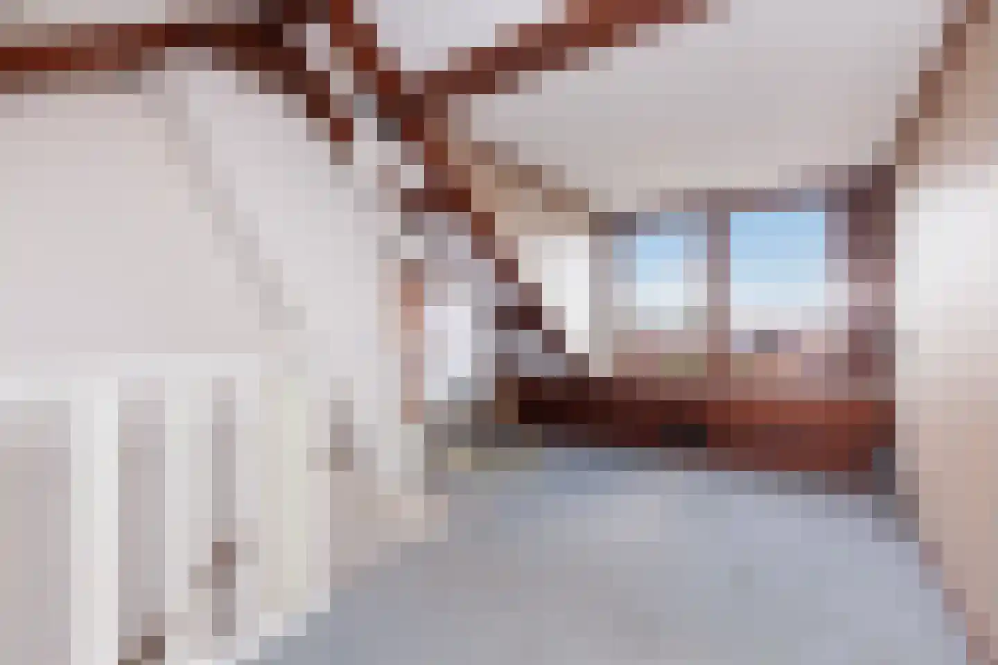 Peulenlaan 20 Hardinxveld-Giessendam thumbnail 22