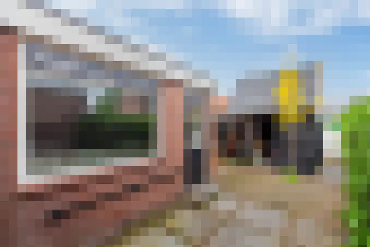 Peulenlaan 20 Hardinxveld-Giessendam thumbnail 4