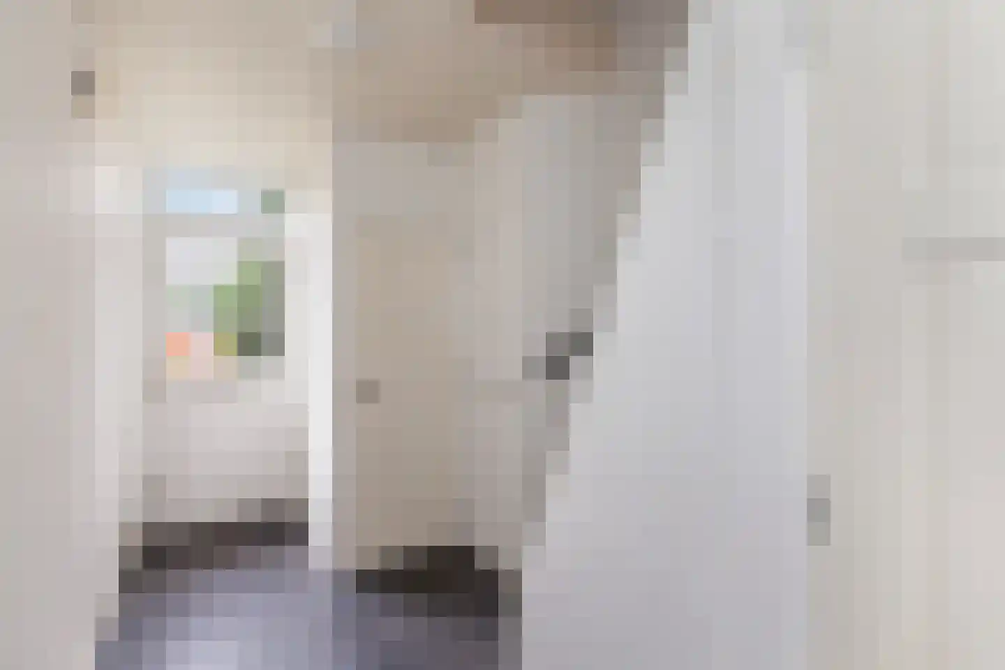 Peulenlaan 20 Hardinxveld-Giessendam thumbnail 6