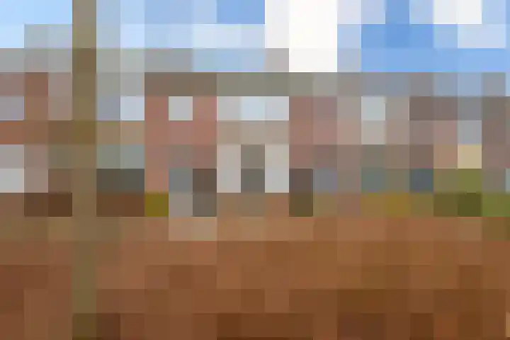 Peulenlaan 55 Hardinxveld-Giessendam thumbnail 24