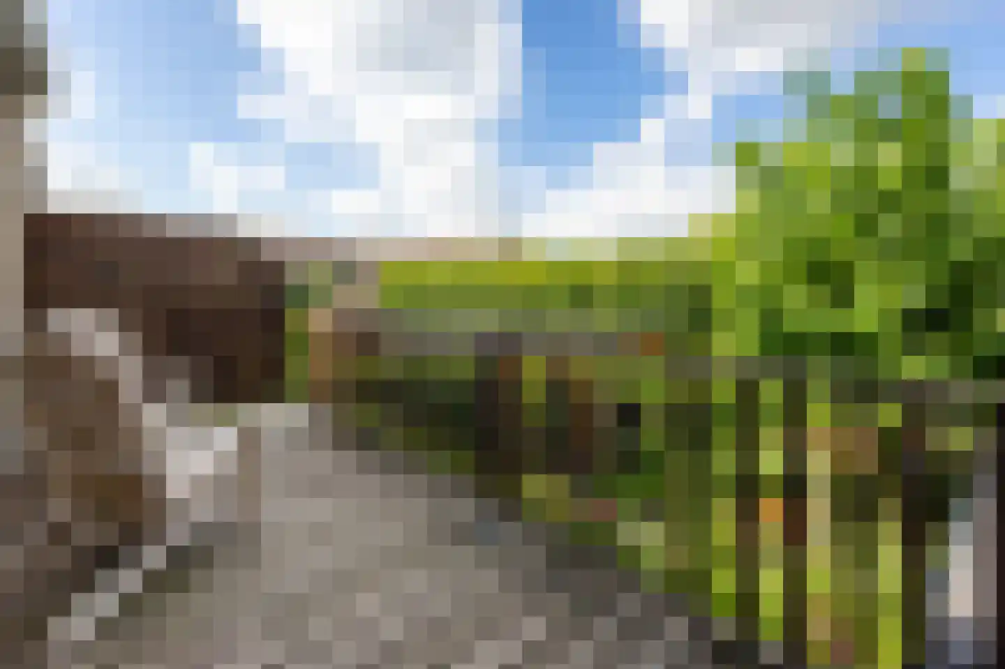 Peulenstraat 147 Hardinxveld-Giessendam thumbnail 19