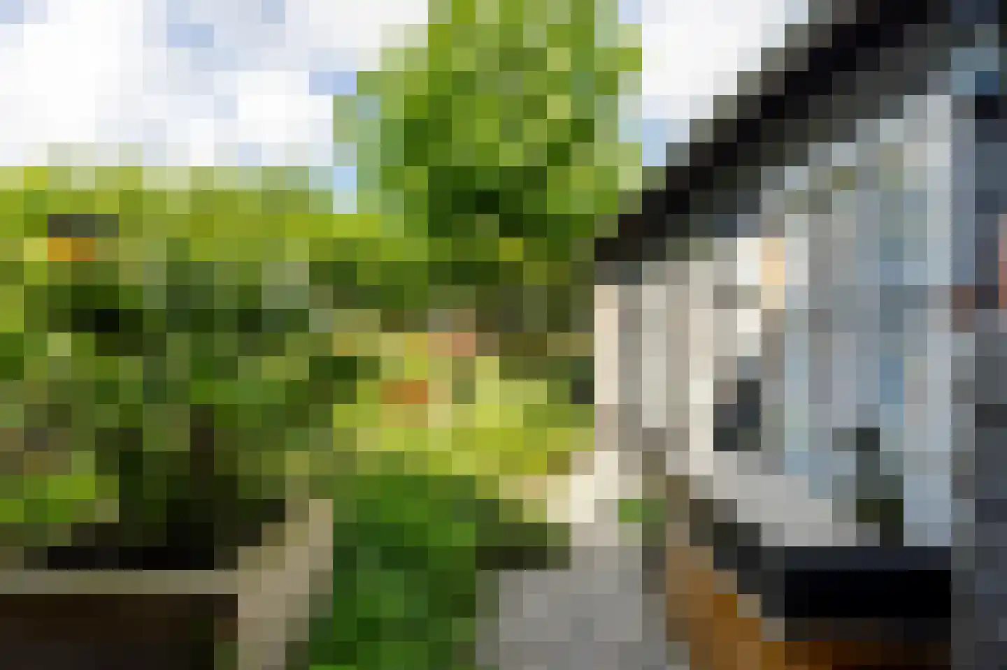 Peulenstraat 147 Hardinxveld-Giessendam thumbnail 41