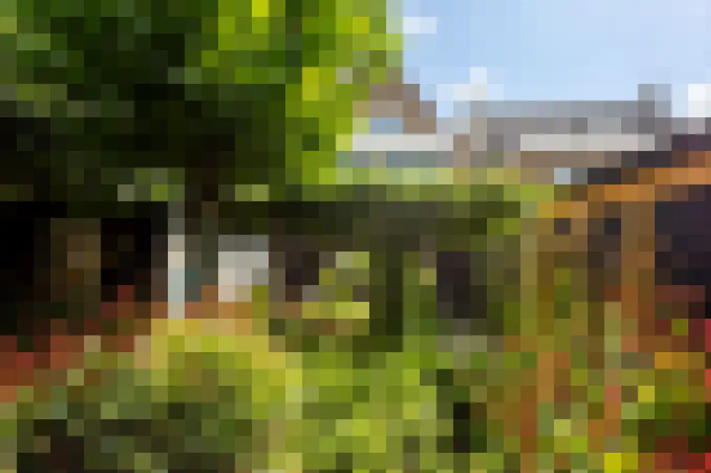 Peulenstraat 147 Hardinxveld-Giessendam thumbnail 43