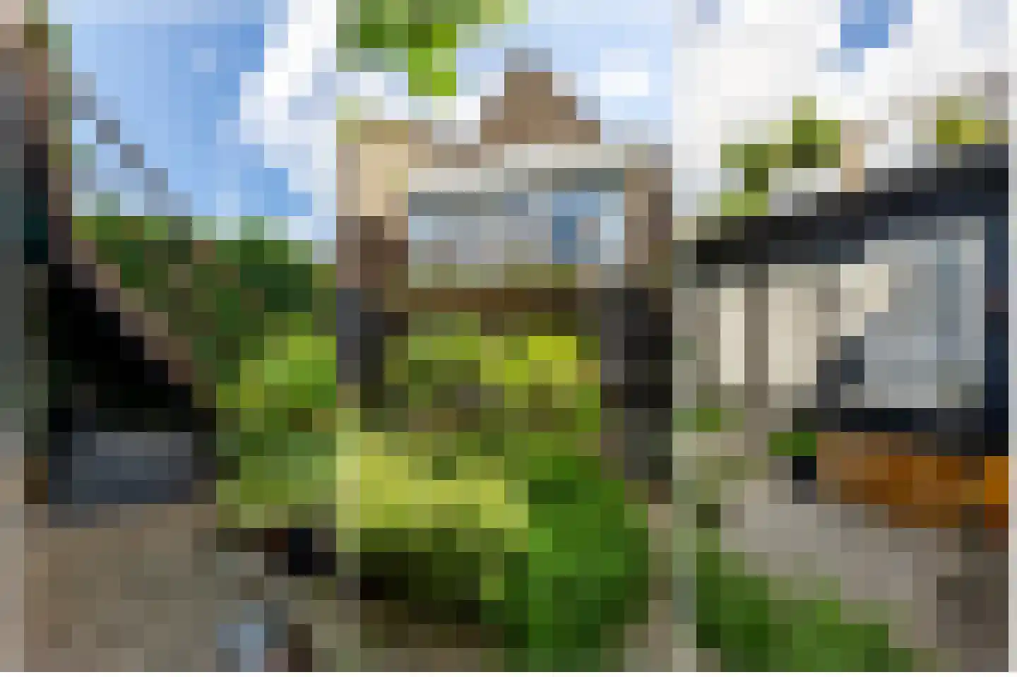 Peulenstraat 147 Hardinxveld-Giessendam thumbnail 44