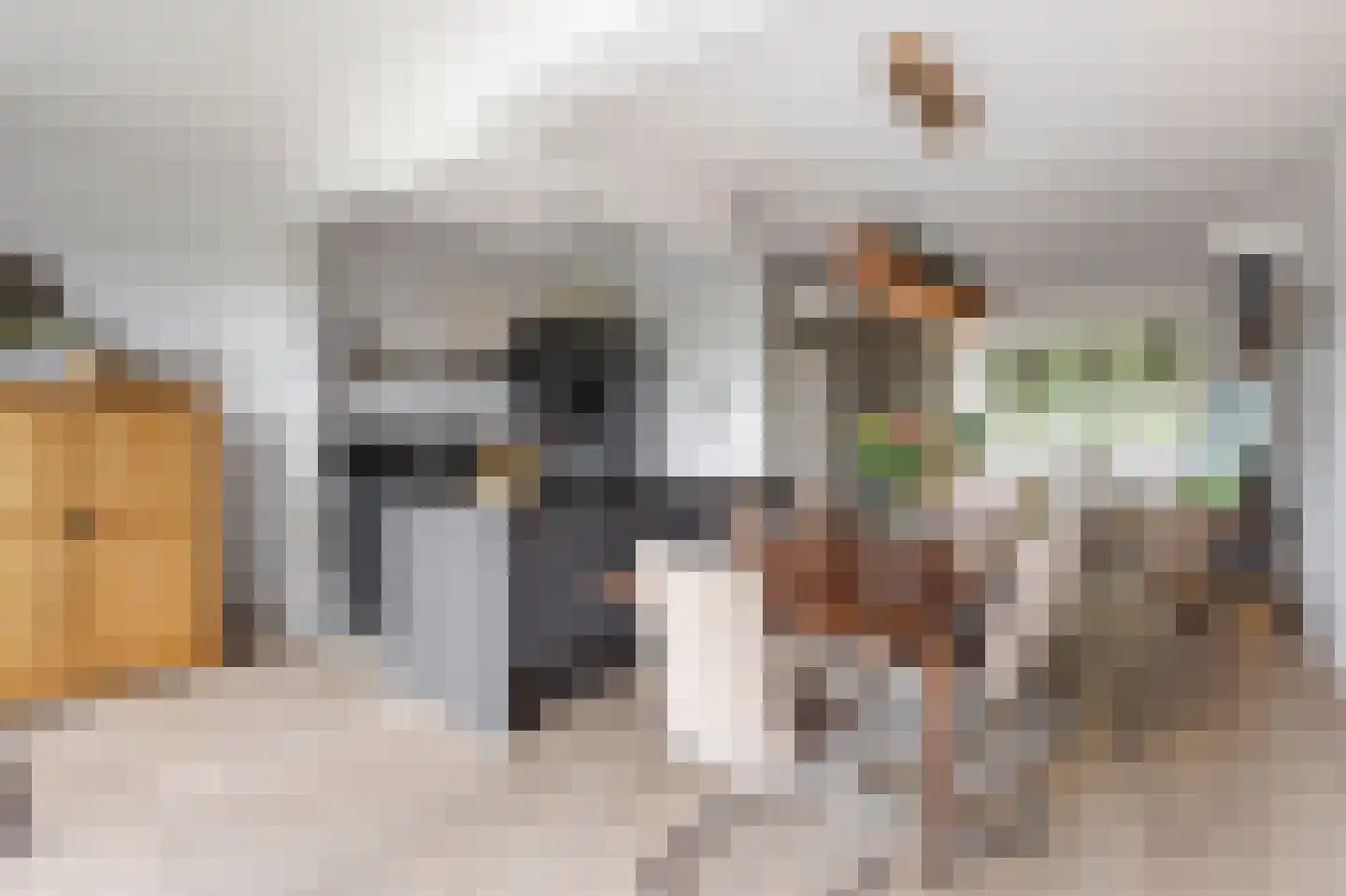 Peulenstraat 147 Hardinxveld-Giessendam thumbnail 8