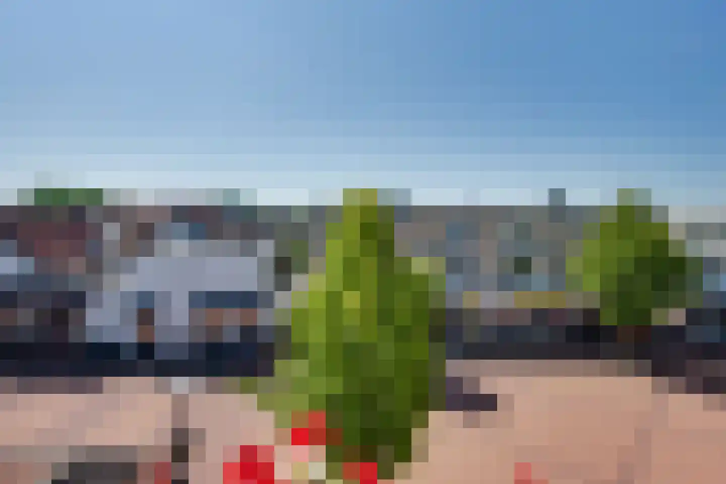 Peulenstraat 217 A Hardinxveld-Giessendam thumbnail 17