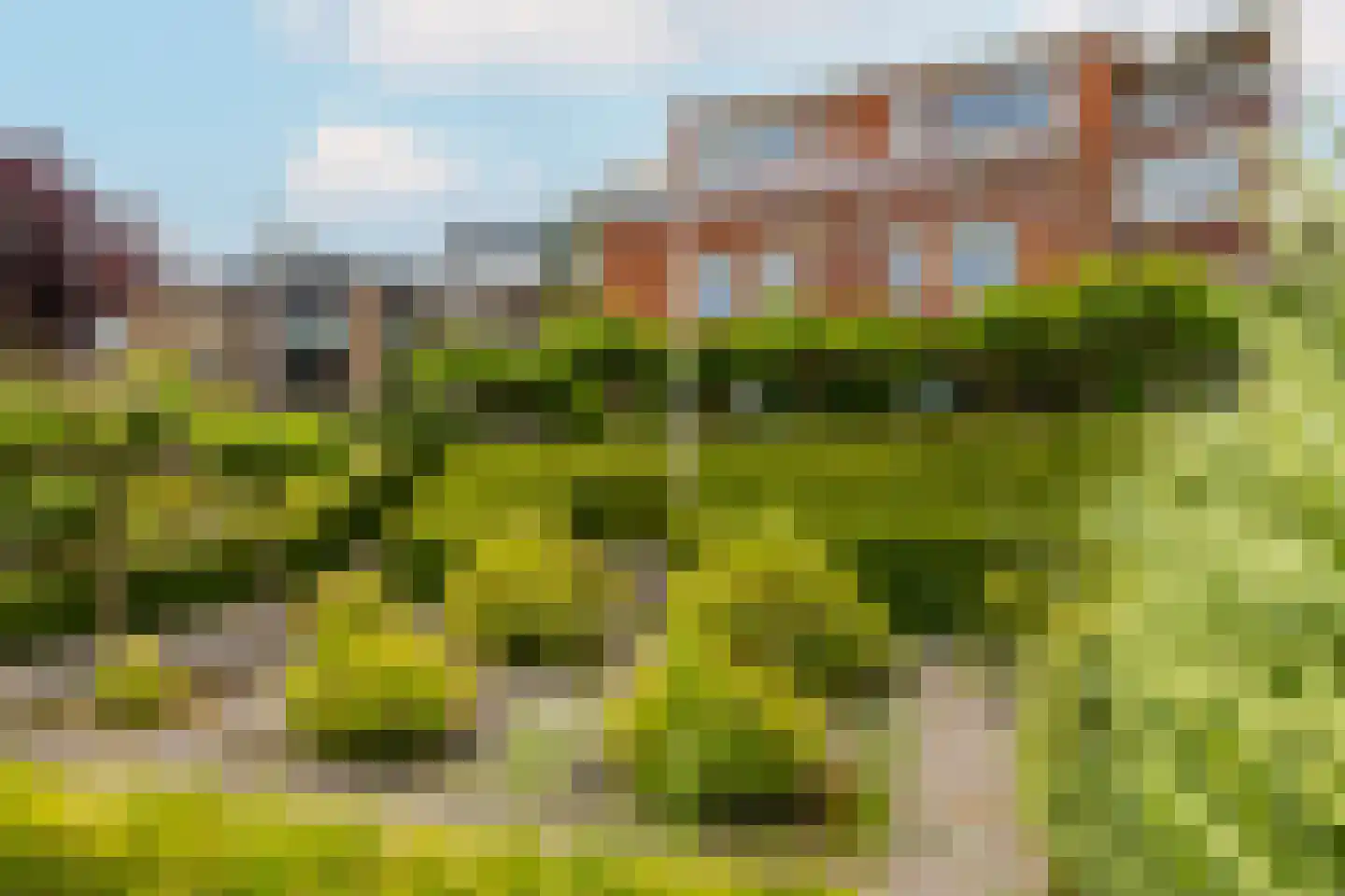 Peulenstraat 220 Hardinxveld-Giessendam thumbnail 37