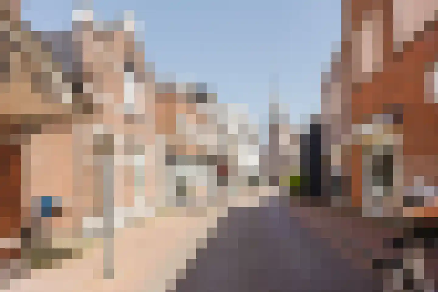 Peulenstraat 229 A Hardinxveld-Giessendam thumbnail 23