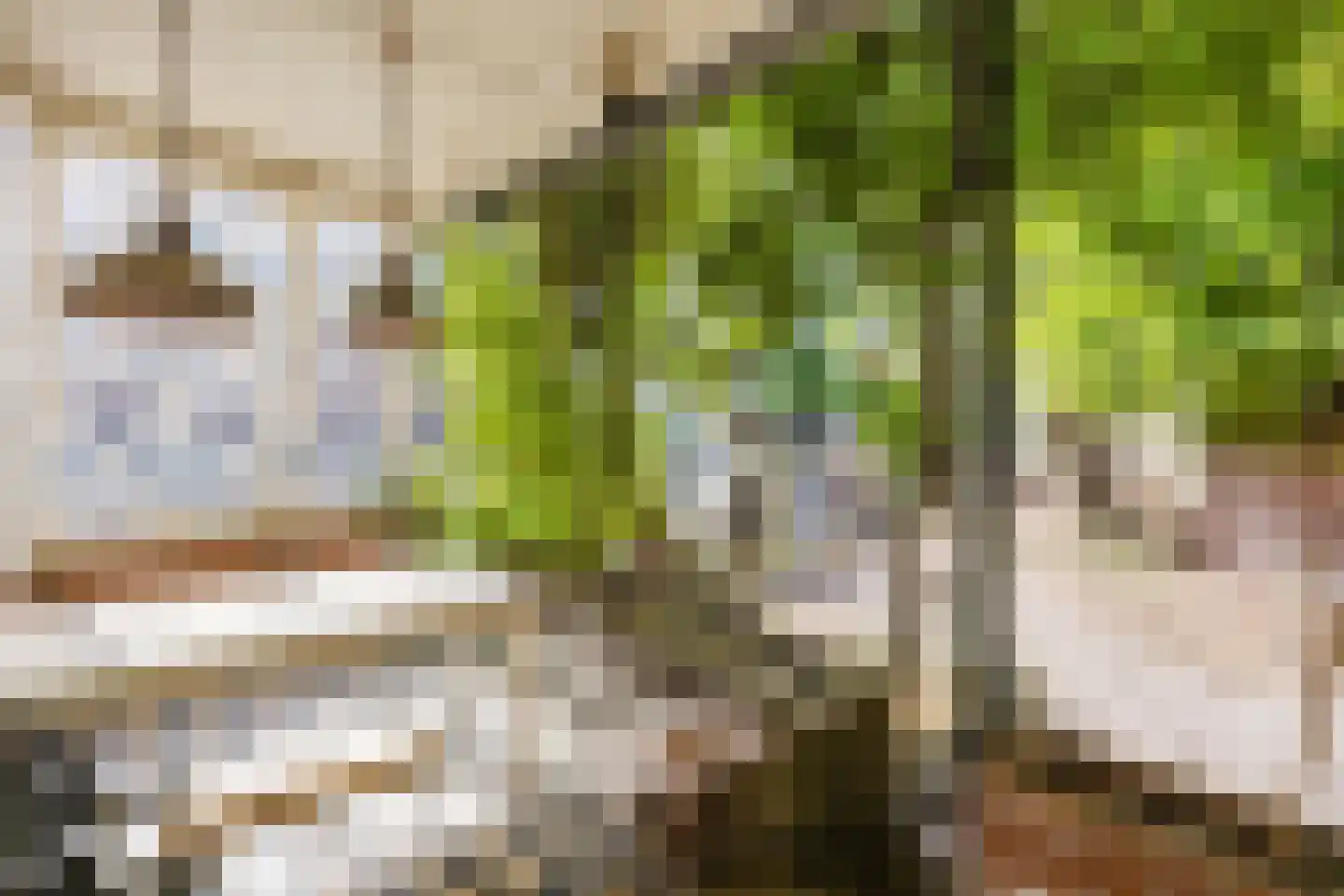 Peulenstraat 249 Hardinxveld-Giessendam thumbnail 4