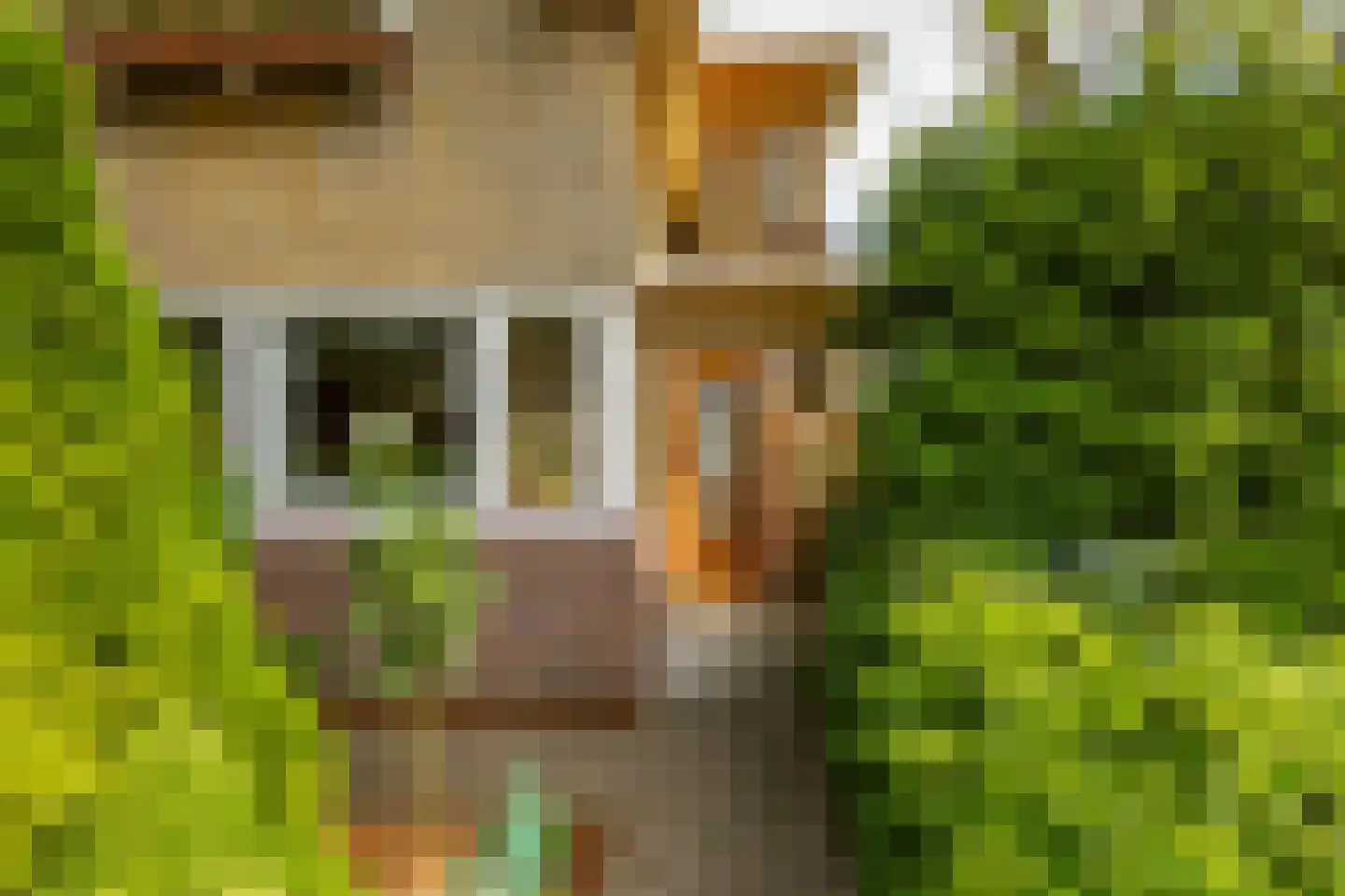 Peulenstraat-zuid 38 Hardinxveld-Giessendam thumbnail 31