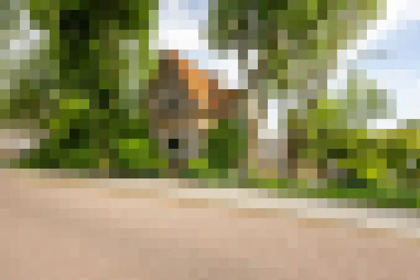 Peulenstraat-zuid 38 Hardinxveld-Giessendam thumbnail 32