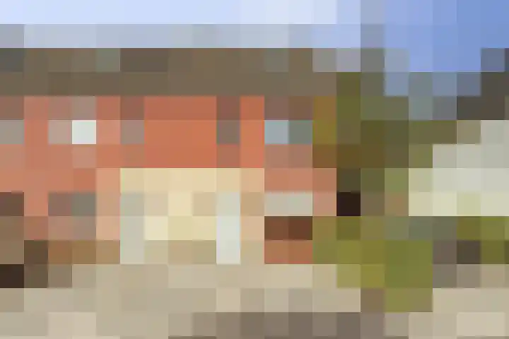 Peulenstraat-zuid 51 C Hardinxveld-Giessendam thumbnail 47