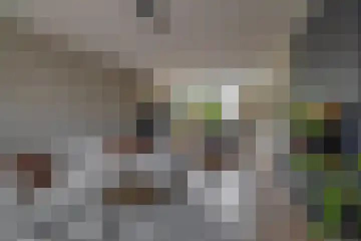 Peuleyen 128 Waddinxveen thumbnail 11