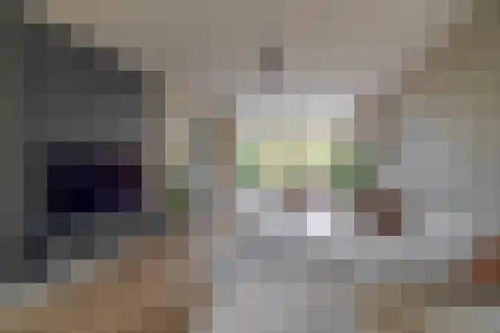 Peuleyen 128 Waddinxveen thumbnail 12