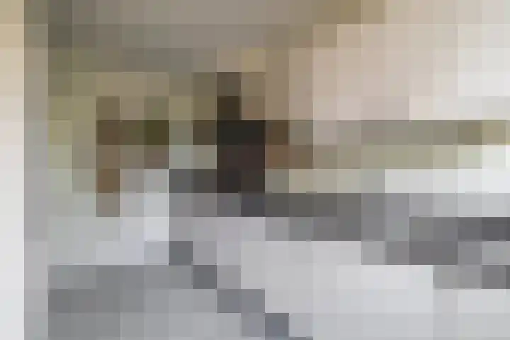 Peuleyen 128 Waddinxveen thumbnail 13