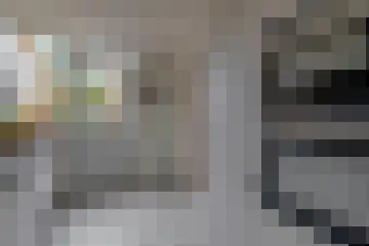 Peuleyen 128 Waddinxveen thumbnail 14