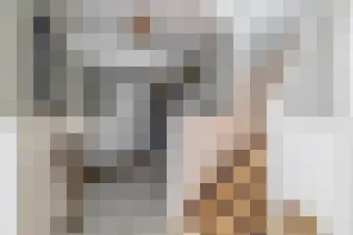 Peuleyen 128 Waddinxveen thumbnail 17