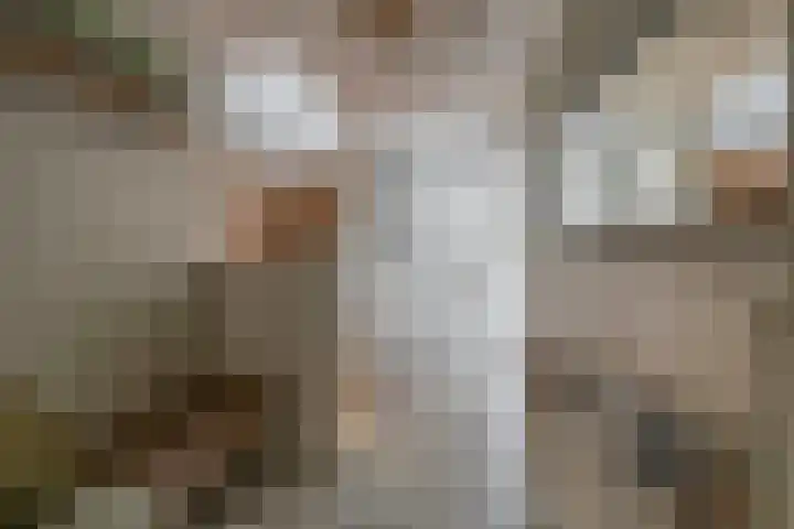 Peuleyen 128 Waddinxveen thumbnail 18