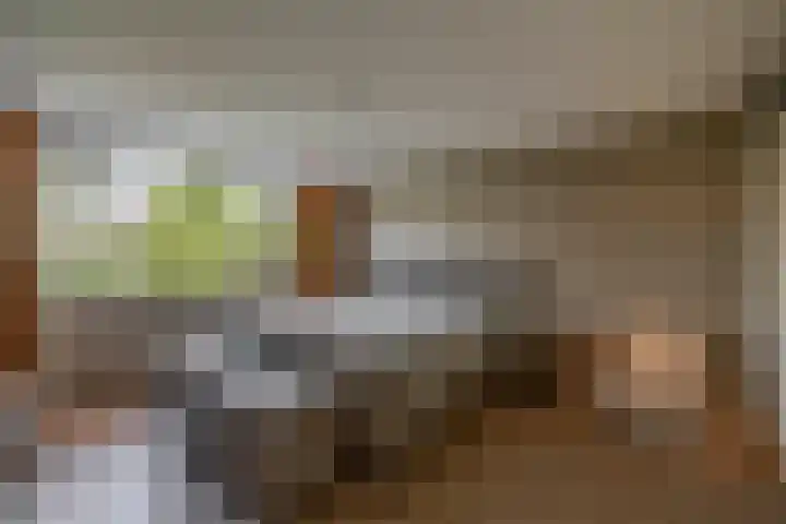 Peuleyen 128 Waddinxveen thumbnail 20