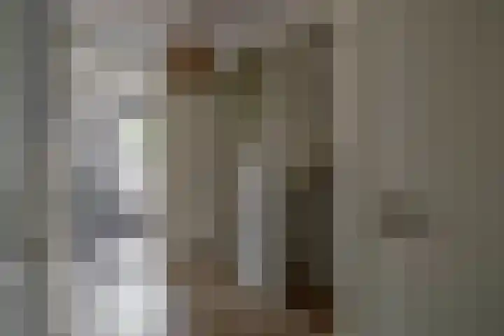 Peuleyen 128 Waddinxveen thumbnail 27