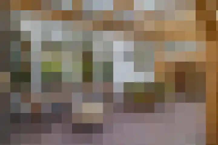Peuleyen 128 Waddinxveen thumbnail 31