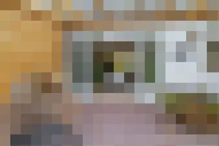 Peuleyen 128 Waddinxveen thumbnail 32